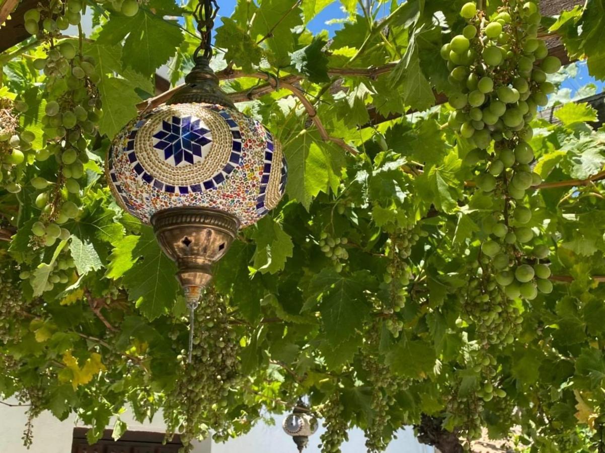 B&B Los Lujos Oria Εξωτερικό φωτογραφία